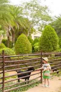 三亚三亚海棠湾喜来登度假酒店（丰富儿童玩乐+S秀表演）的一只小女孩在围栏后面抚摸一只黑狗