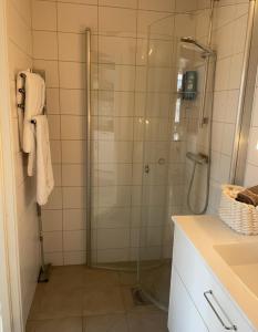 法尔肯贝里Stuga Ljungsjön的带淋浴的浴室和玻璃门