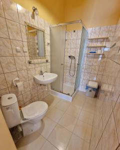 里沃Dom Gościnny Roksana的浴室配有卫生间、盥洗盆和淋浴。