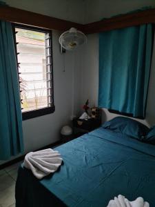 南迪The Ideal Bed & Breakfast的一间卧室配有一张带蓝色床单的床和一扇窗户。