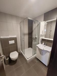 Srpski ItebejMotel MS的带淋浴、卫生间和盥洗盆的浴室
