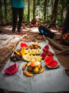 武吉拉旺Tereking the life Orangutan的木头上的一大堆水果