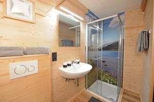 豪斯地区圣雅各布Ferienhof Holzmeister的一间带水槽和玻璃淋浴的浴室