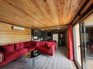 安塔利亚Villa Woodhouse in nature private garden Konyaalti Antalya的客厅设有红色的沙发和木制天花板。