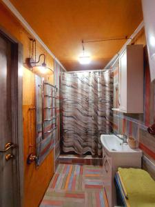 MohylivOrelskyi Dvor的浴室配有淋浴帘和盥洗盆。