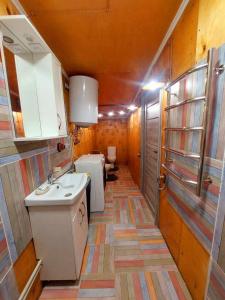 MohylivOrelskyi Dvor的一间带水槽和卫生间的小厨房