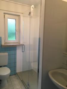施瓦岑贝格阁老普内公寓的带淋浴、卫生间和盥洗盆的浴室