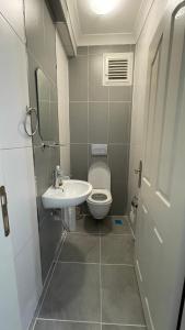 亚洛瓦Deniz apartment的一间带卫生间和水槽的小浴室