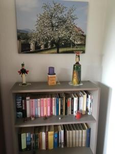 施瓦岑贝格阁老普内公寓的书架上满书和一棵树
