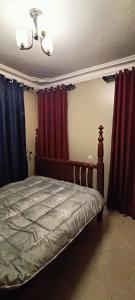 GuluCosy Living的一间卧室配有红色和蓝色窗帘的床