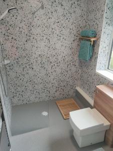 萨顿因阿什菲尔德Stunning Views Peaceful Split Level Bungalow的浴室配有白色卫生间和淋浴。