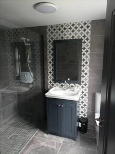MillstreetFox's Cottage的一间带水槽和淋浴的浴室