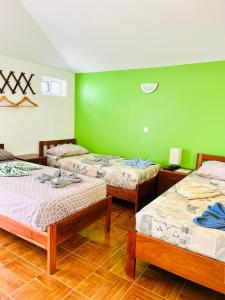 蓬塔杜索尔Casa BB&Djassi的一间设有三张床和绿色墙壁的客房