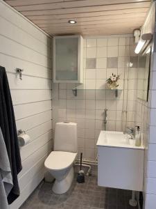 尼尔西艾Villa Valkeinen的一间带卫生间和水槽的浴室