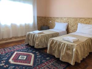 特雷维索威尼斯特雷维索机场住宿的配有地毯和窗户的客房内的两张床