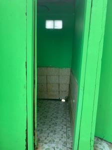 巴拿马城Diegun Tours的绿色客房 - 带瓷砖地板和窗户