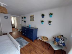 NemesbükkMargit Ház的客厅配有蓝色橱柜,墙上挂有植物