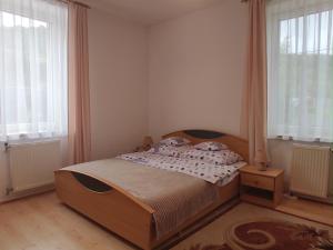 杜什尼基-兹德鲁伊MAGNOLIA Duszniki Zdrój的一间卧室设有木床和2个窗户。