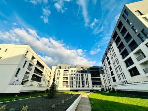 蒂米什瓦拉Modern Apartment in Timisoara的一组以蓝色天空为背景的建筑