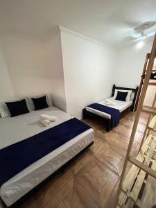 帕萨夸特鲁Hostel Passa4的一间卧室设有两张床和梯子