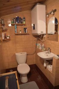 Ostoja dom letniskowy的一间带卫生间和水槽的浴室