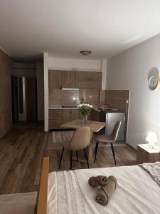 鲁马Apartman San的一间卧室设有厨房,配有桌椅