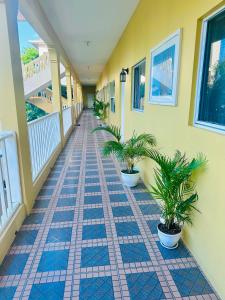 圣玛丽Spring Palm Estate的建筑上两盆植物的走廊