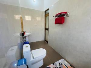 南威Happy House Nungwi的浴室配有白色卫生间和盥洗盆。