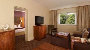 谢菲尔德希尔顿谢菲尔德公园双树酒店的酒店客房设有电视和客厅。