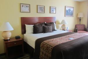 图巴城摩恩科皮传统套房酒店 的酒店客房带一张大床和一把椅子