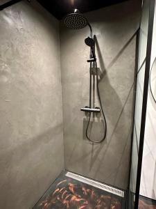 马里博Torvet17 Nr1 - 42m2的浴室内配有淋浴和头顶淋浴