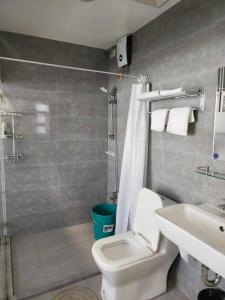 巴斯科Lorenzo's Homestay的浴室配有卫生间、淋浴和盥洗盆。
