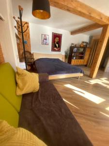 阿拉木图Dobri Dom的一间卧室配有一张床和一个沙发