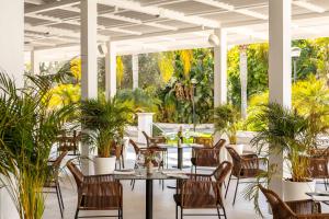 尼科西亚Hilton Nicosia的一间设有桌椅的餐厅,种植了植物