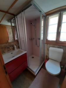 因内特基尔兴Gemütliches Chalet的带淋浴、卫生间和盥洗盆的浴室