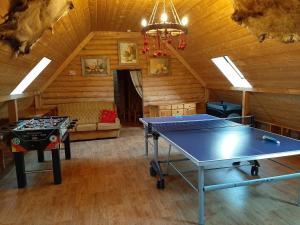 凯卡瓦自治市Brīvdienu māja Mētriņi的小屋内的一个房间里一张乒乓球桌