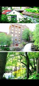 奥斯陆Modern central apartment next to beautiful nature2424的两幅建筑和一条树木繁茂的河流的照片