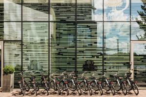 阿姆斯特丹阿姆斯特丹中央车站希尔顿逸林酒店的停在大楼前的一排自行车