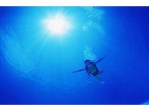 OtsukiHotel Bellreef Otsuki - Vacation STAY 43762v的水中潜水,太阳在天空中