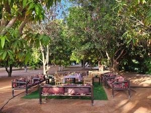 Al-DisahMango Farm Camp的树下一组桌椅