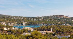 帕格拉Hilton Mallorca Galatzo的享有带湖泊和建筑的城市美景