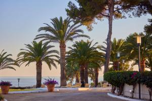 帕格拉Hilton Mallorca Galatzo的一条棕榈树和大海的街道