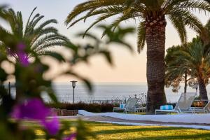 帕格拉Hilton Mallorca Galatzo的两棵棕榈树和椅子的海滩和大海