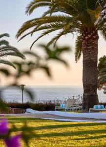帕格拉Hilton Mallorca Galatzo的海滩旁的棕榈树,带椅子