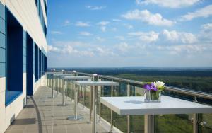 乌法乌法滨江希尔顿花园酒店的阳台配有桌子和花瓶