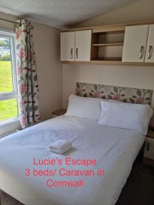 GrampoundLucie’s Escape/ 129 meadow view的一间卧室设有一张床和一个窗口