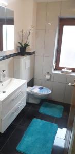 维辛Panorama的一间带水槽和卫生间的浴室以及2个蓝色垫子。