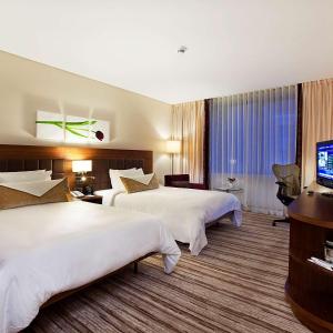 科尼亚科尼亚希尔顿花园旅馆的酒店客房设有两张床和电视。