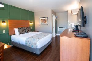 波特兰北欧汽车旅馆的配有一张床和一张书桌的酒店客房