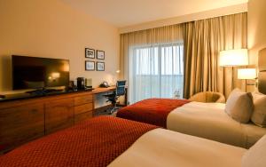 罗兹罗兹希尔顿逸林酒店的酒店客房设有两张床和一台平面电视。